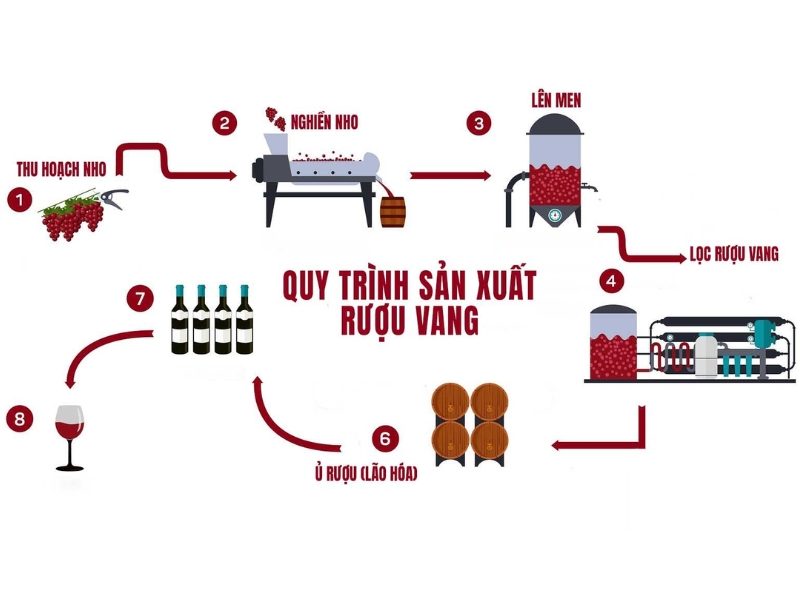Quy trình sản xuất cơ bản rượu vang đúng cách
