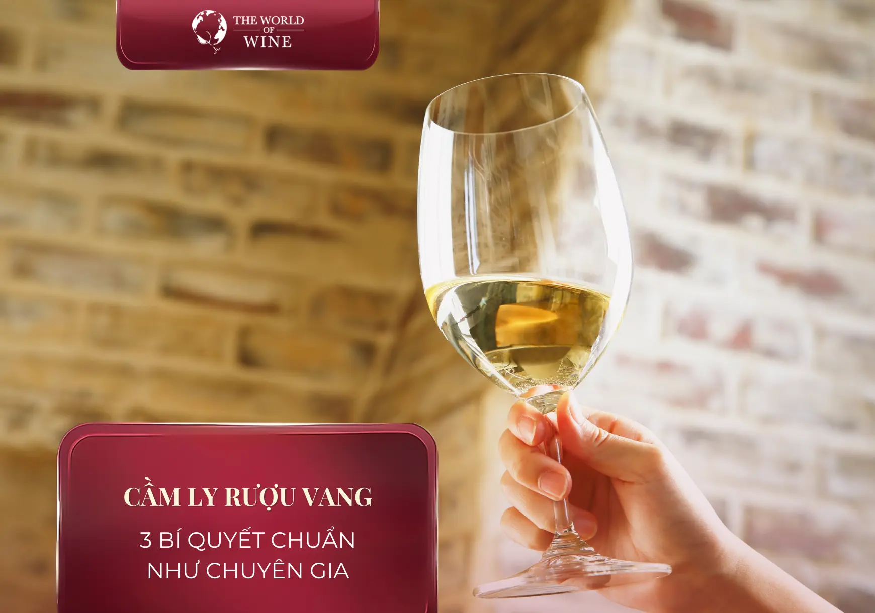 3 cách cầm ly rượu vang chuẩn như chuyên gia (Kỹ thuật ai cũng nên biết)