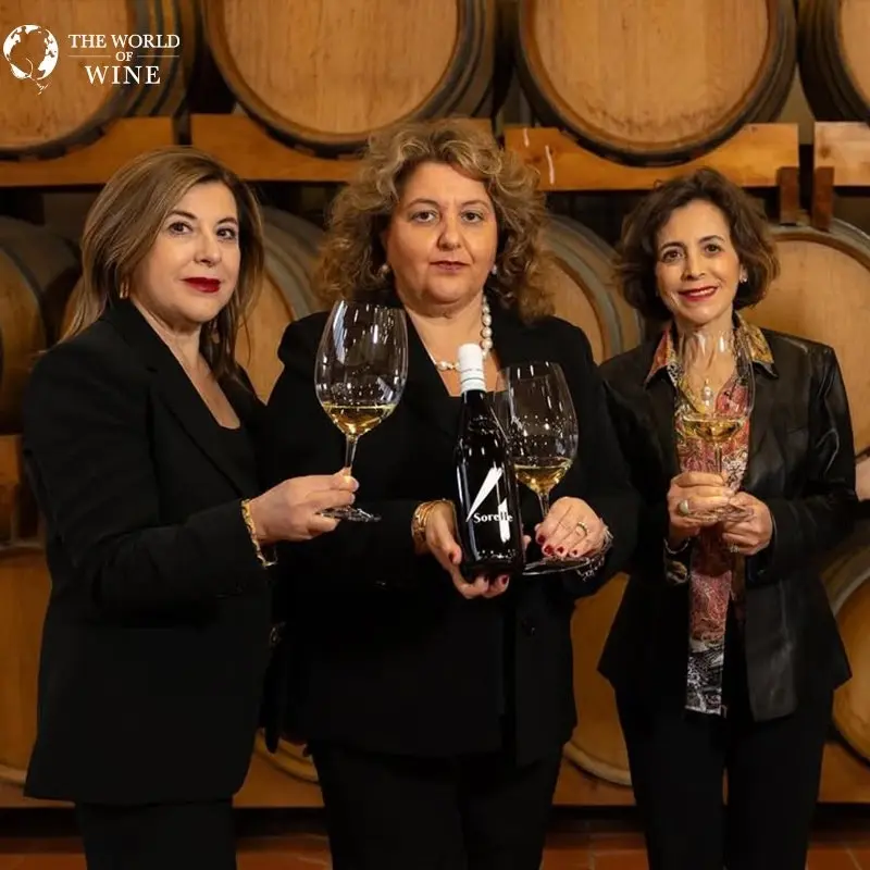4 Sorrele Piedmonte Sauvignon DOC phù hợp cả người mới uống vang