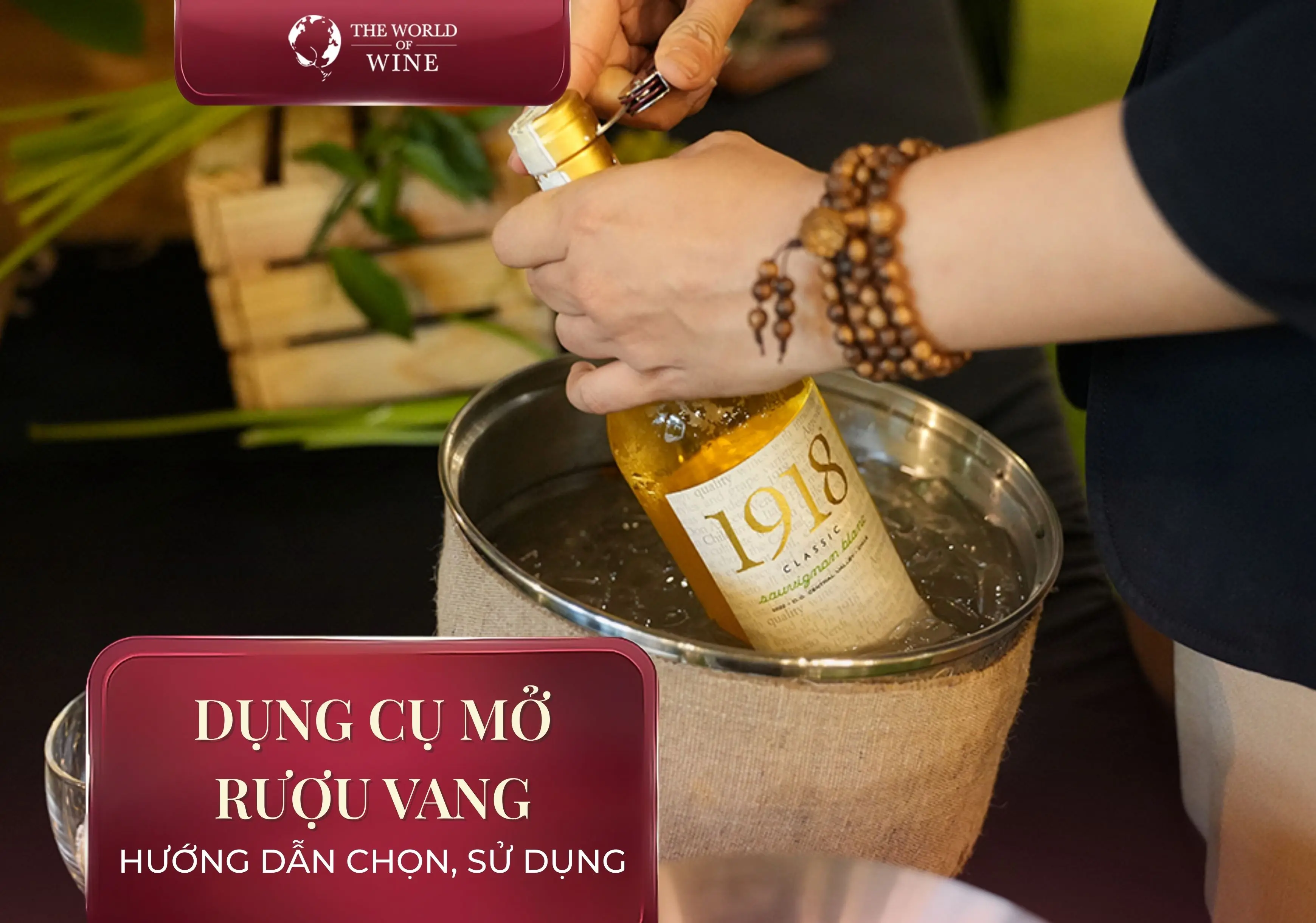 Dụng cụ mở rượu vang là gì? Hướng dẫn chọn và sử dụng hiệu quả