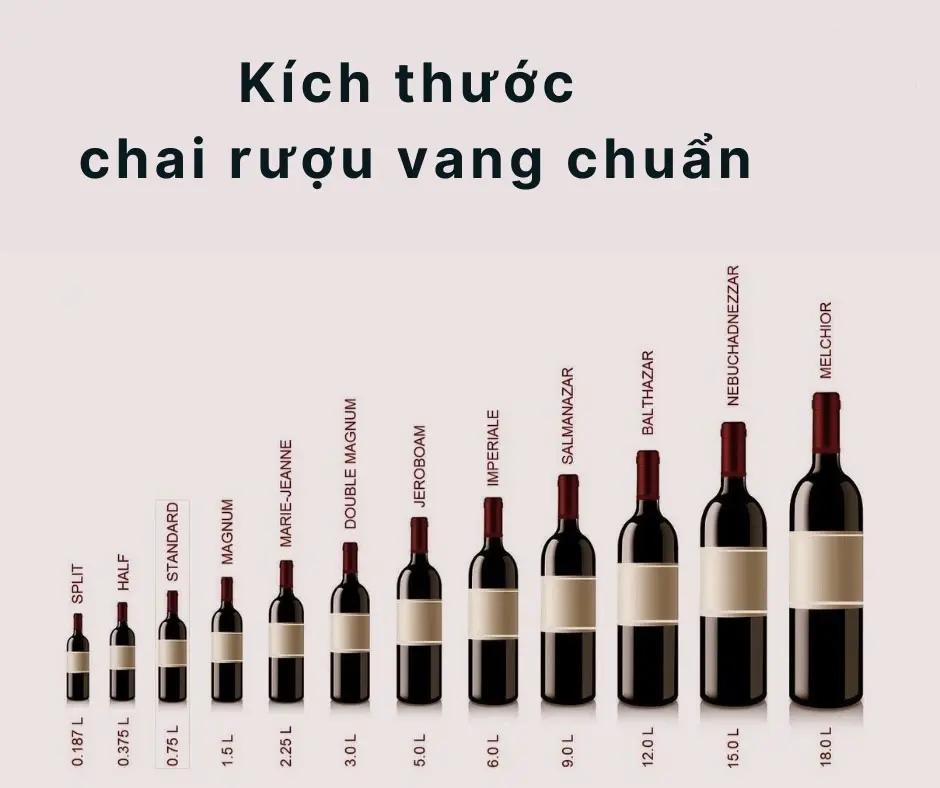 Mỗi chai rượu vang không chỉ chứa rượu, mà còn chứa cả lịch sử, truyền thống và nghệ thuật thưởng thức