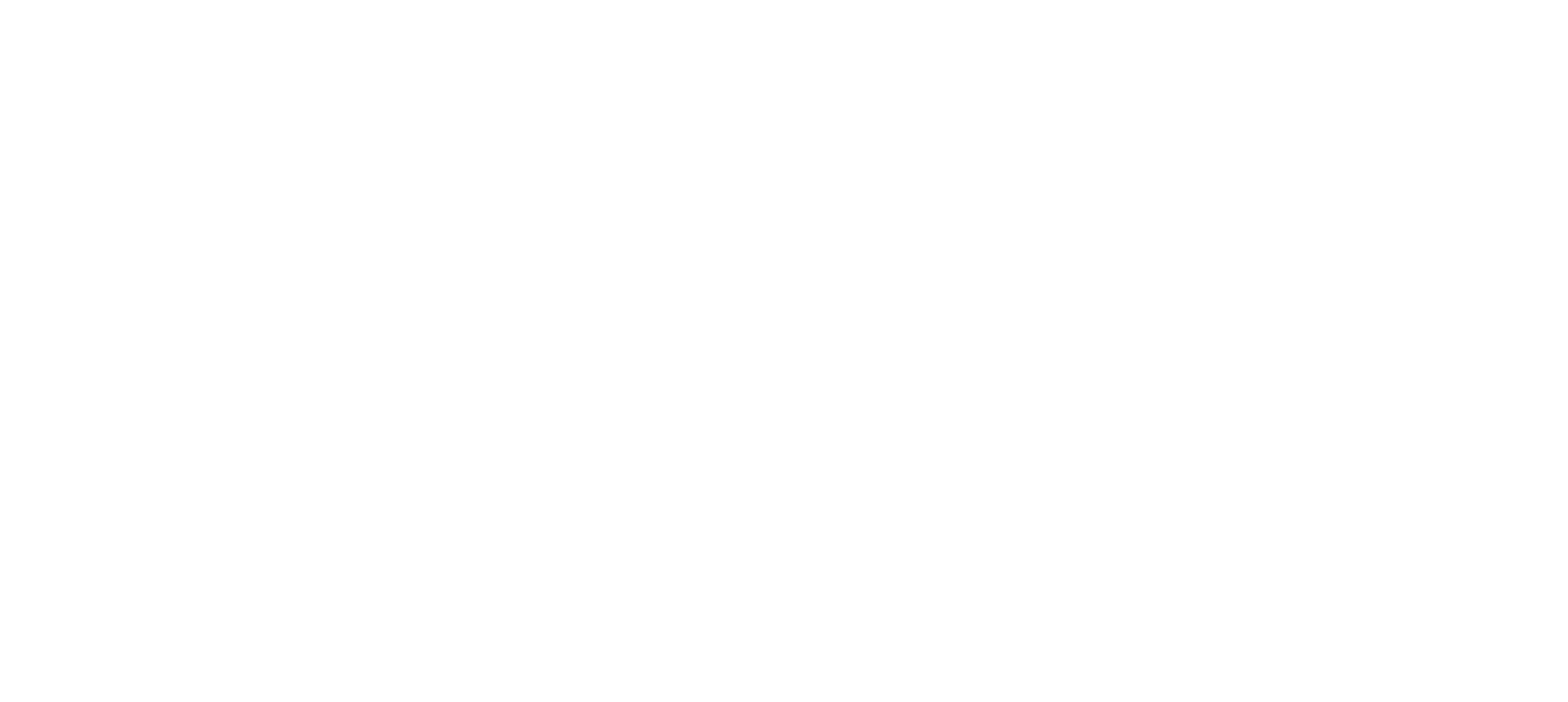 The W.O.W Logo