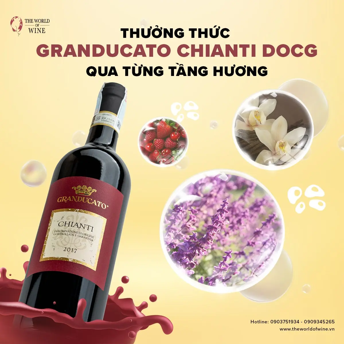 Giá rượu Chianti trong năm 2025 có sự khác biệt rõ rệt giữa các phân hạng