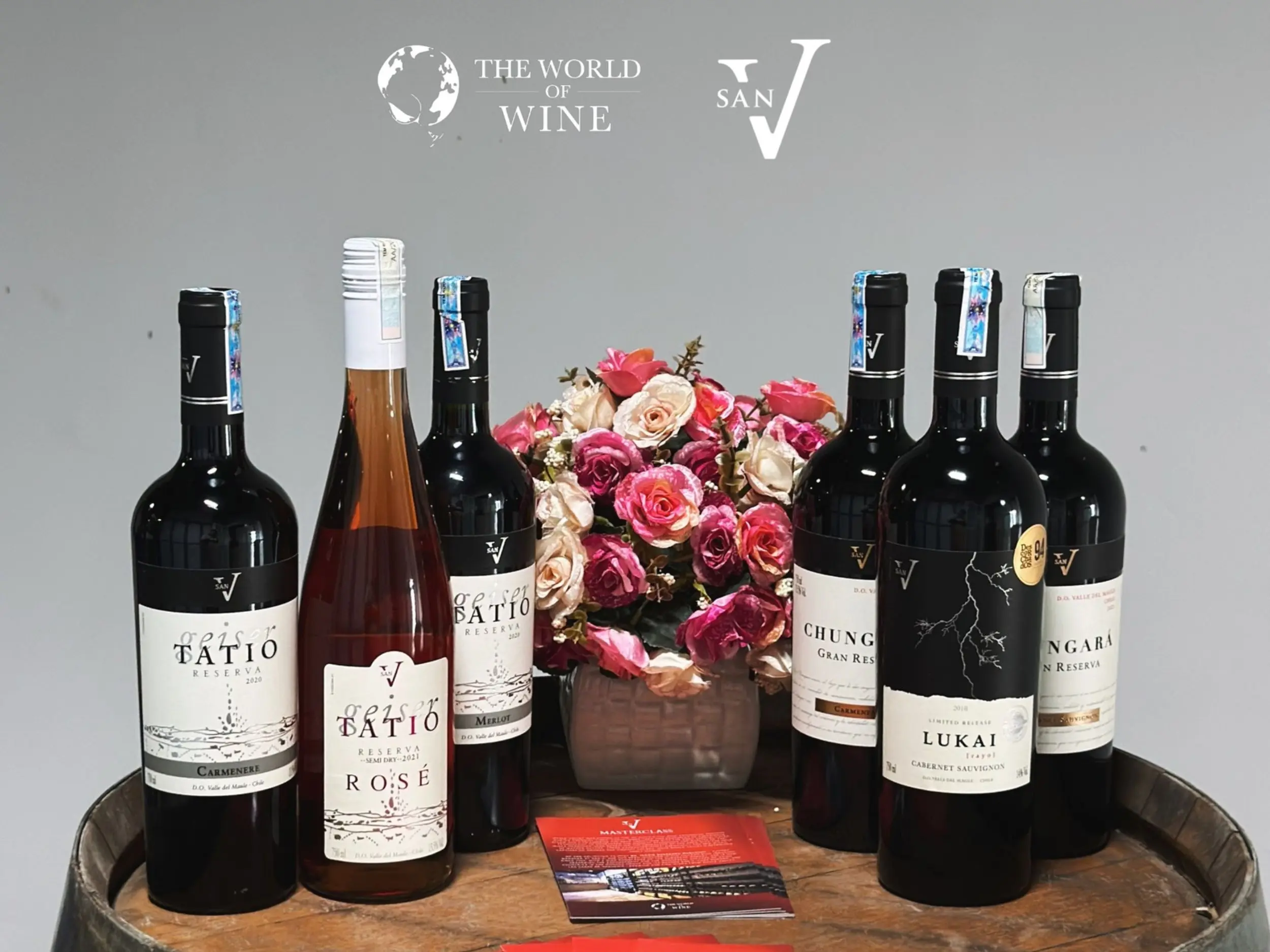 The World Of Wine cung cấp rượu vang Chile chính hãng