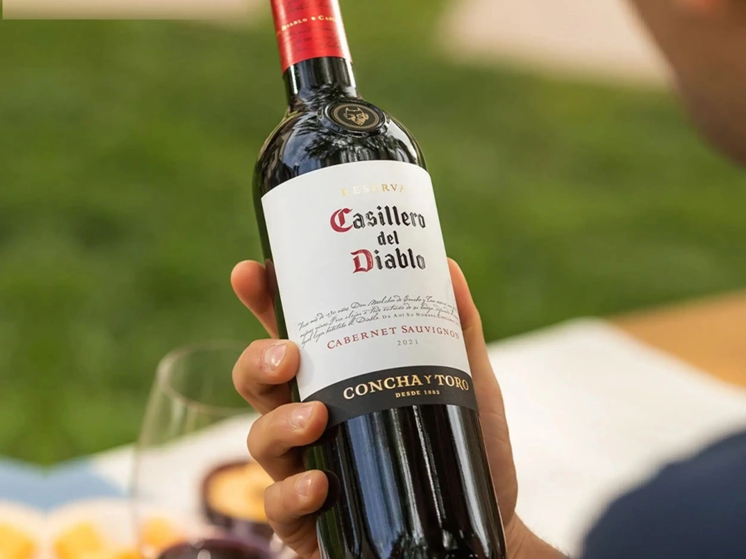 Concha y Toro là một trong những thương hiệu rượu vang Chile lớn nhất thế giới