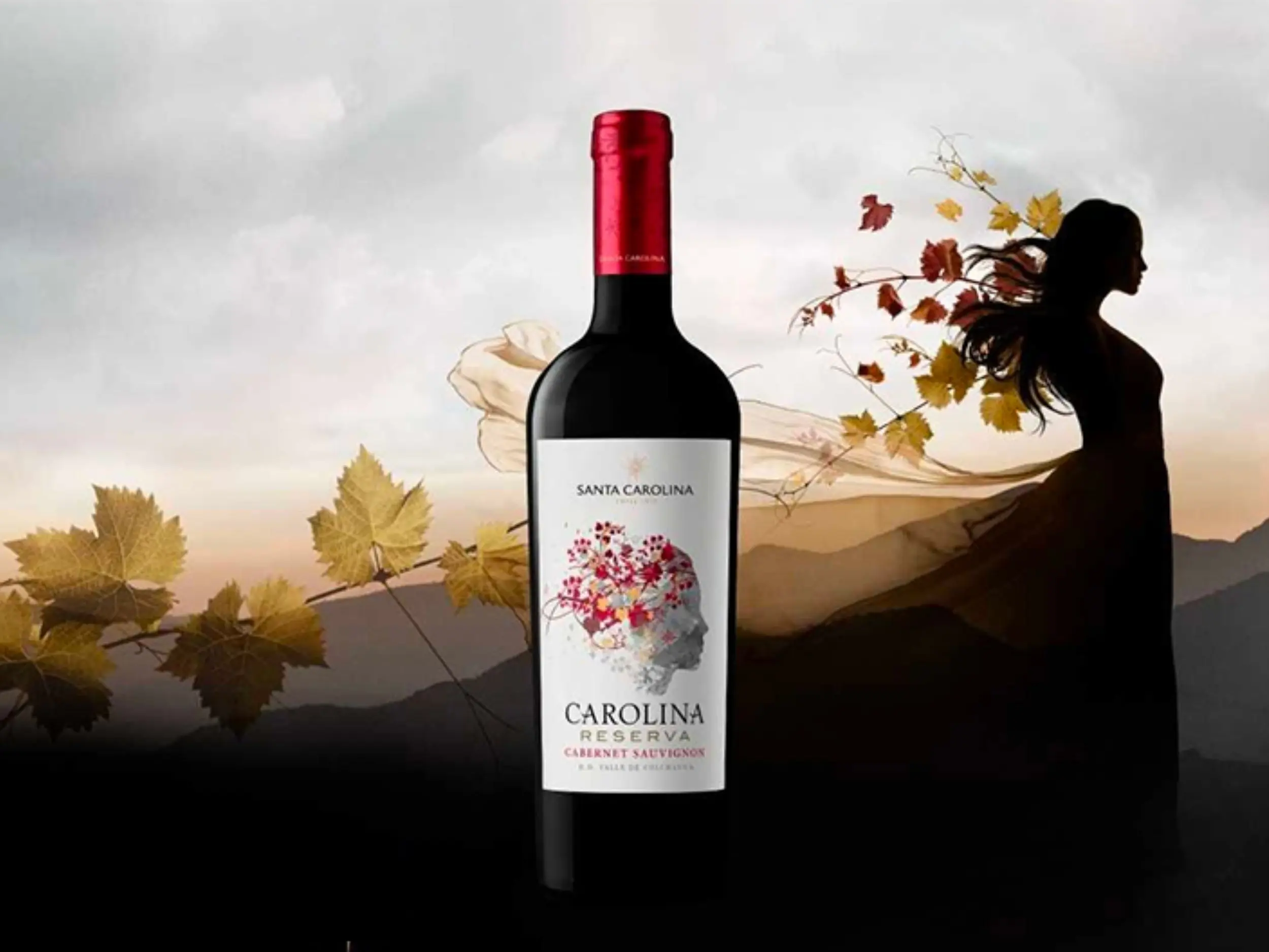 Santa Rita là cái tên quen thuộc với cả những người uống vang