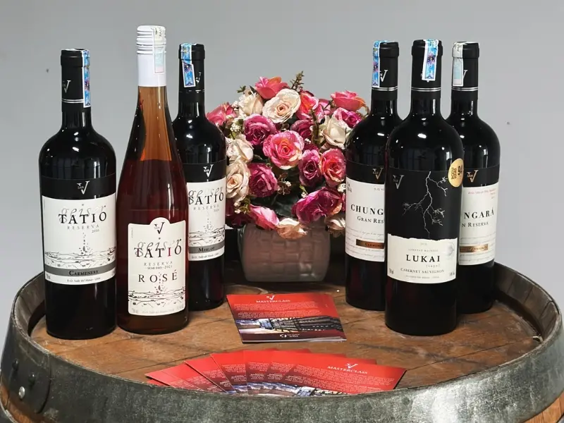 San V được định vị là dòng Icon Wine của tập đoàn Casa Donoso