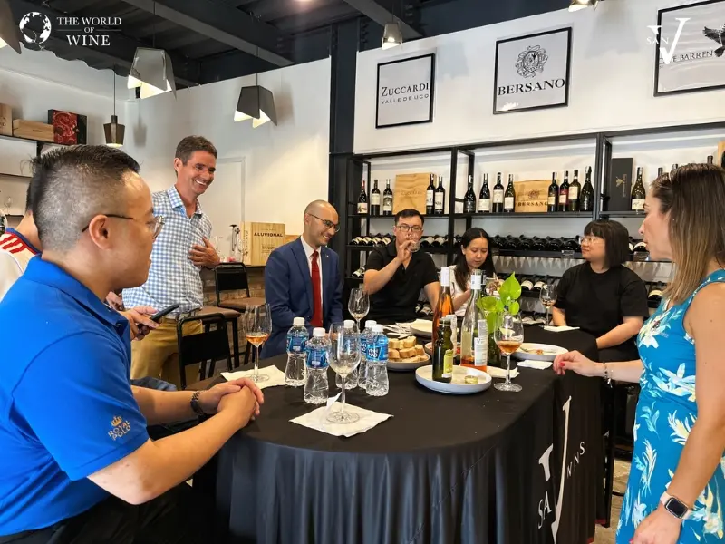 Mua rượu vang San V chính hãng tại The World of Wine