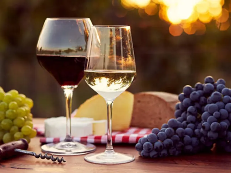Rượu vang nho Shiraz có sự phức hợp trong tầng lớp hương vị