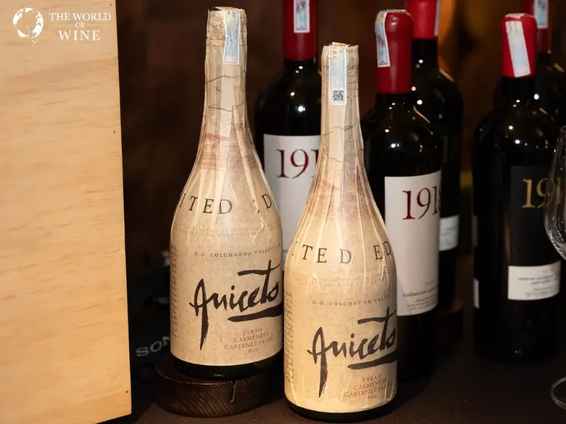 Casa Verdi Aniceto Limited Edition rất phù hợp thị hiếu người Việt