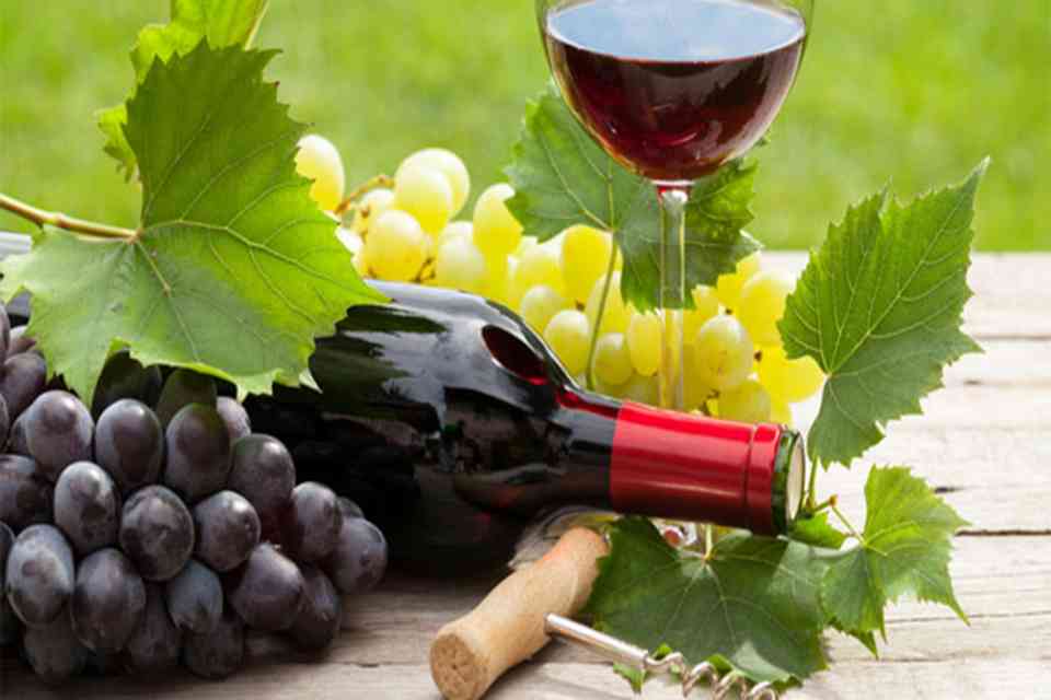 Từng giống nho mang một hương vị và câu chuyện riêng