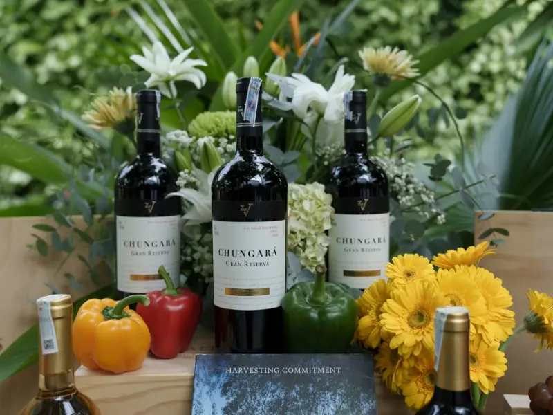 San V Chungara Gran Reserva Cabernet Sauvignon phong cách hiện đại, mạnh mẽ