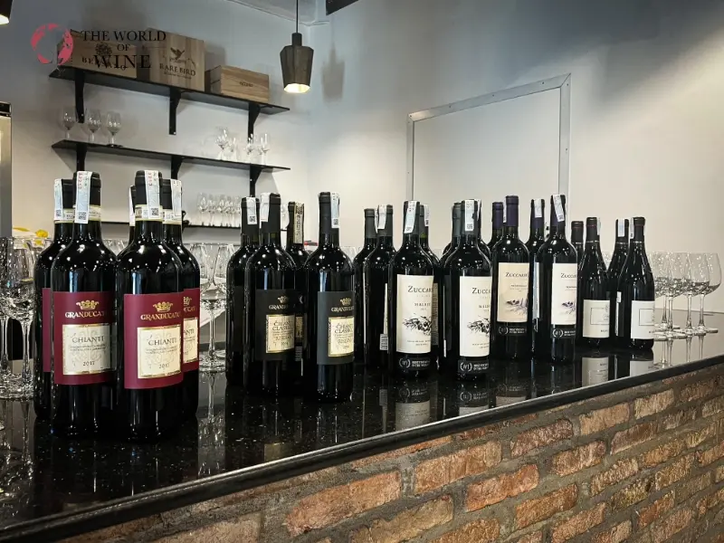 The World of Wine - Địa chỉ mua rượu vang Canaiolo uy tín
