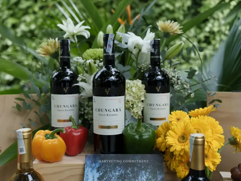 San V Chungara Gran Reserva Carménère tannin tròn trịa và hậu vị ấm áp