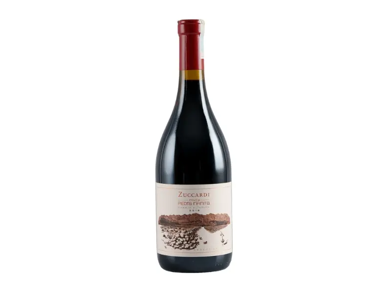 Zuccardi Finca Piedra Infinita phong cách khoáng đạt và phức hợp
