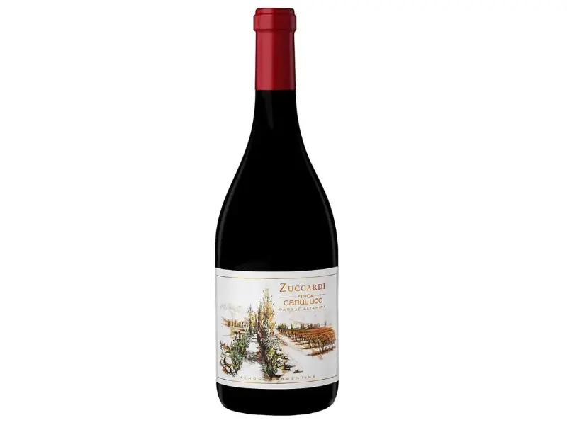 Zuccardi Finca Canal Uco mang phong cách thanh lịch và cân bằng