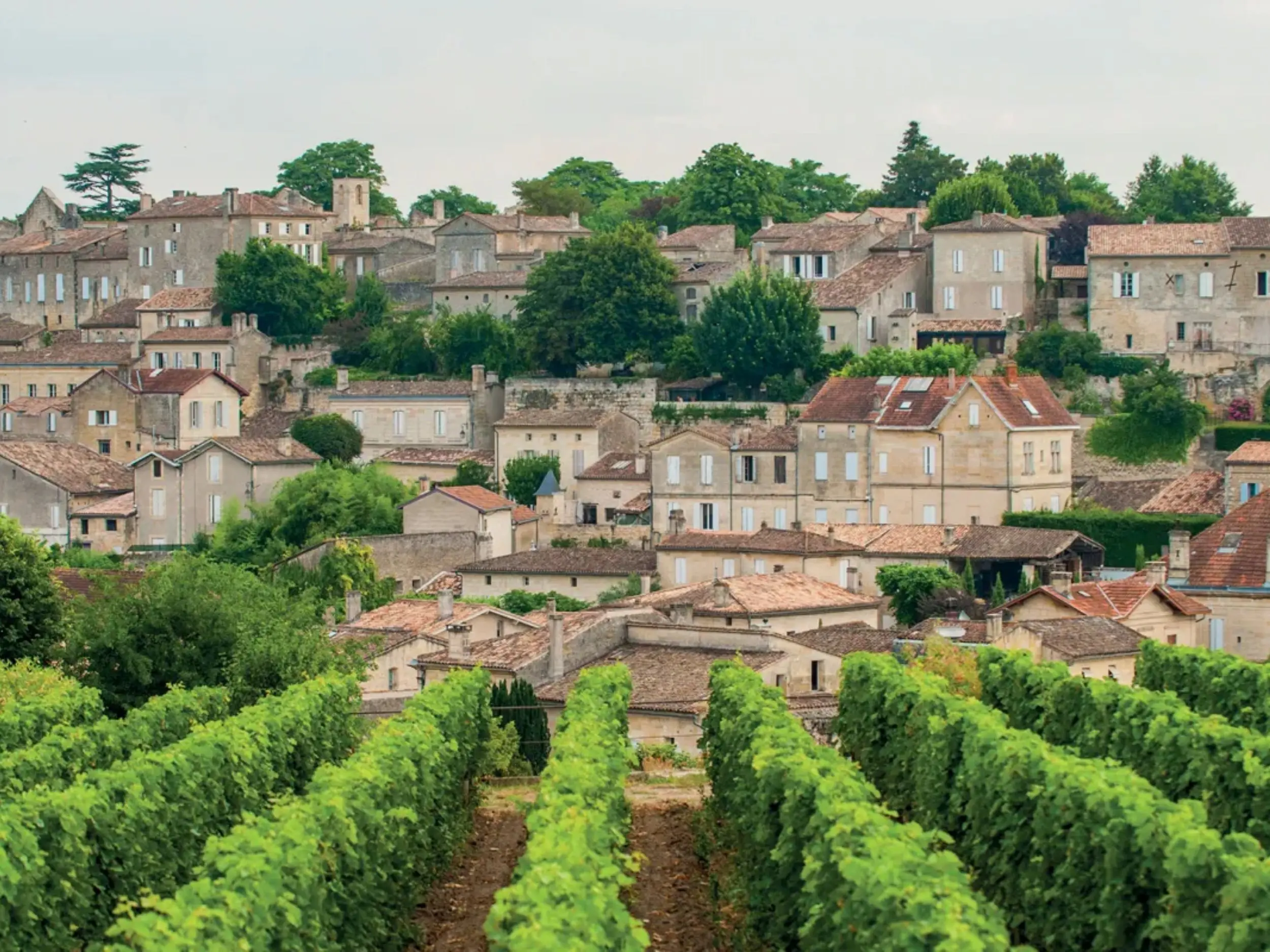 Saint-Émilion thuộc bờ phải Bordeaux, nơi Merlot đóng vai trò chính