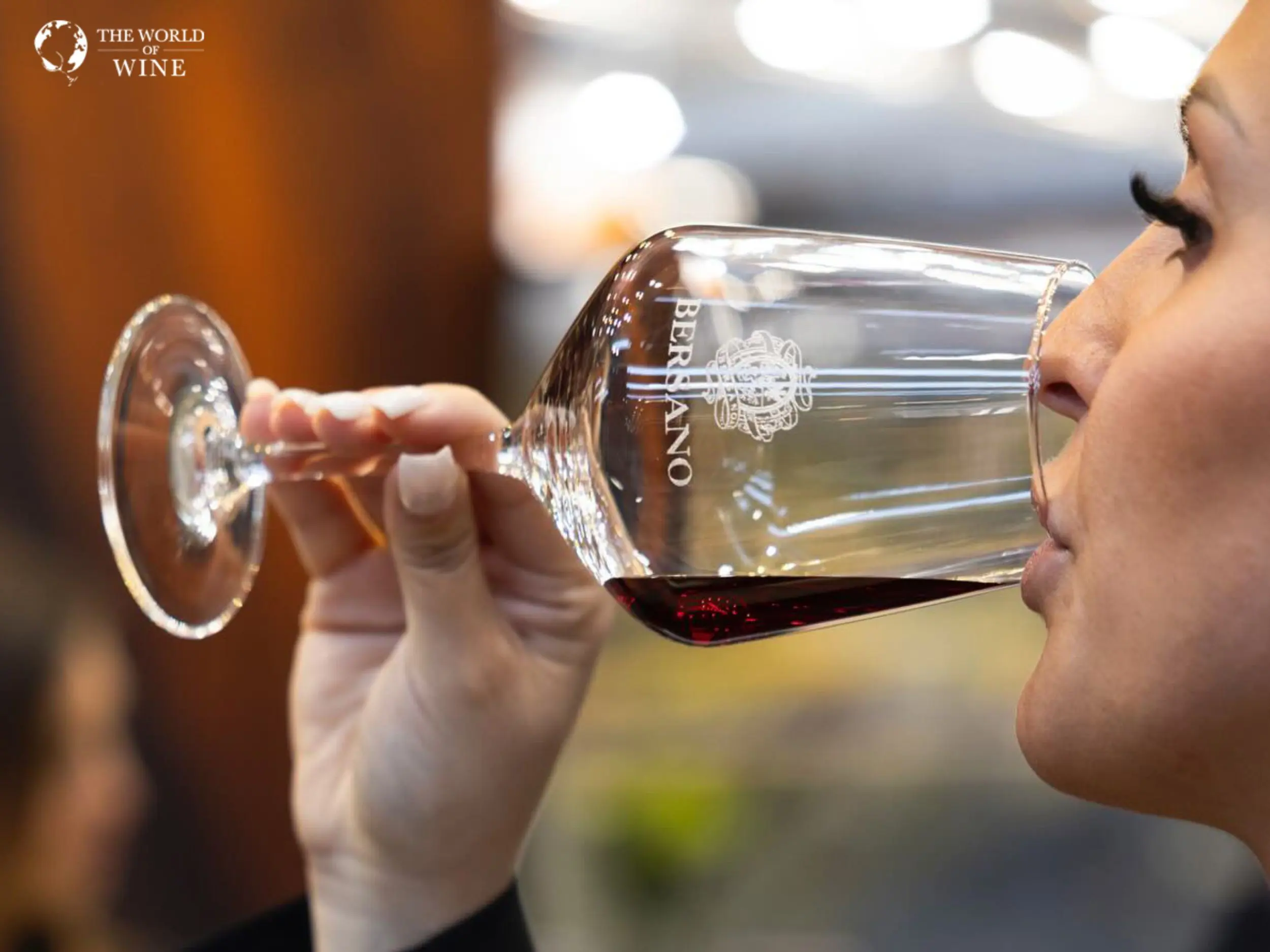 Chọn rượu vang Bordeaux cho người mới uống