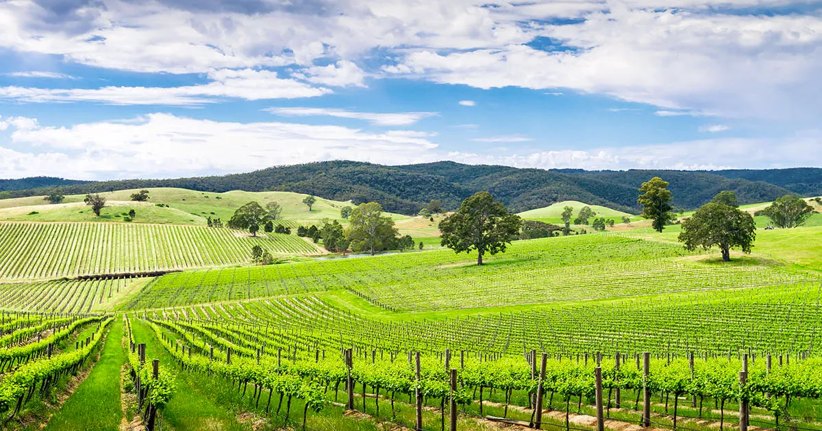 South Australia – Thủ phủ rượu vang Úc