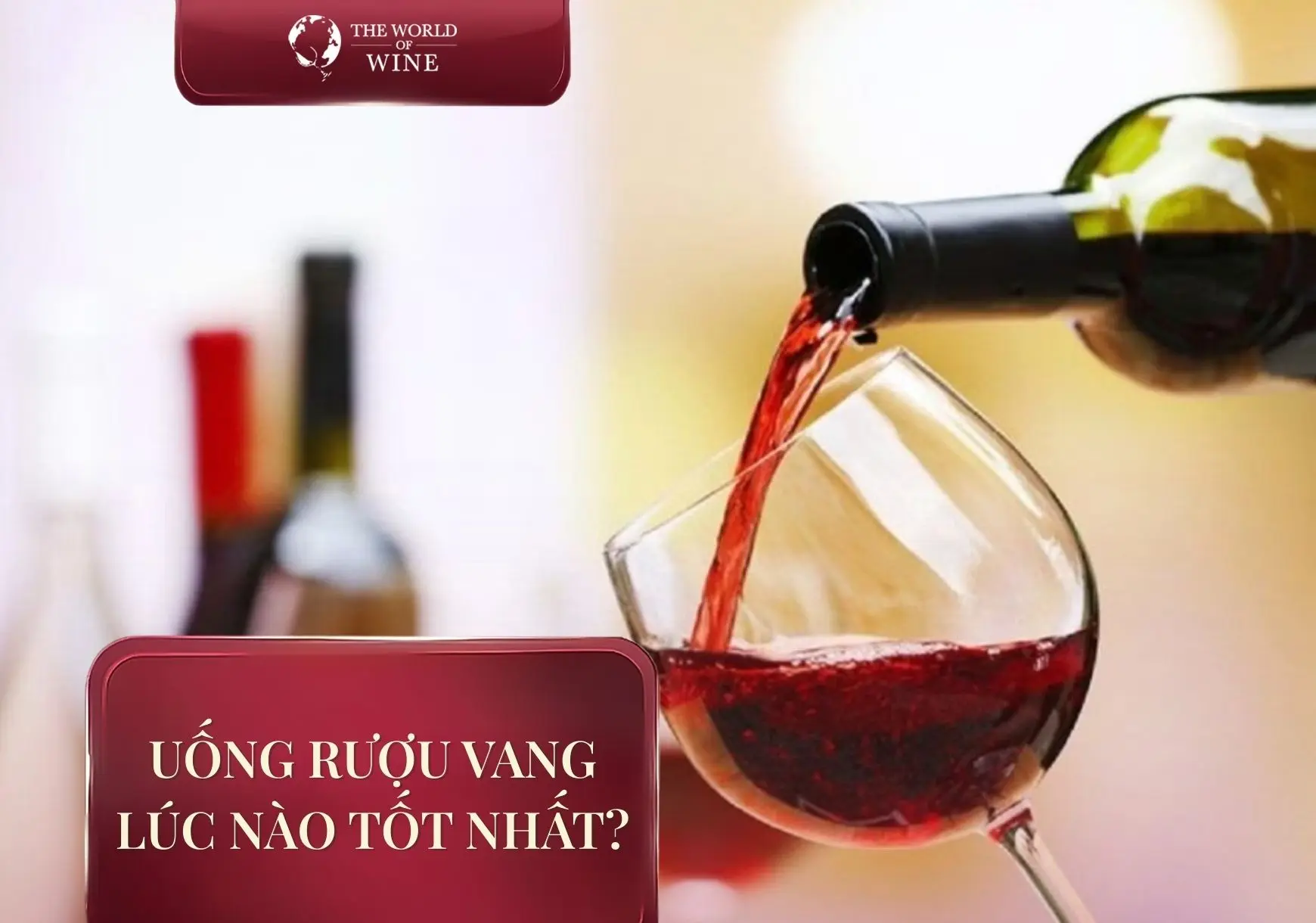 Uống rượu vang lúc nào tốt nhất? Bí quyết tận hưởng trọn vẹn giá trị của rượu vang