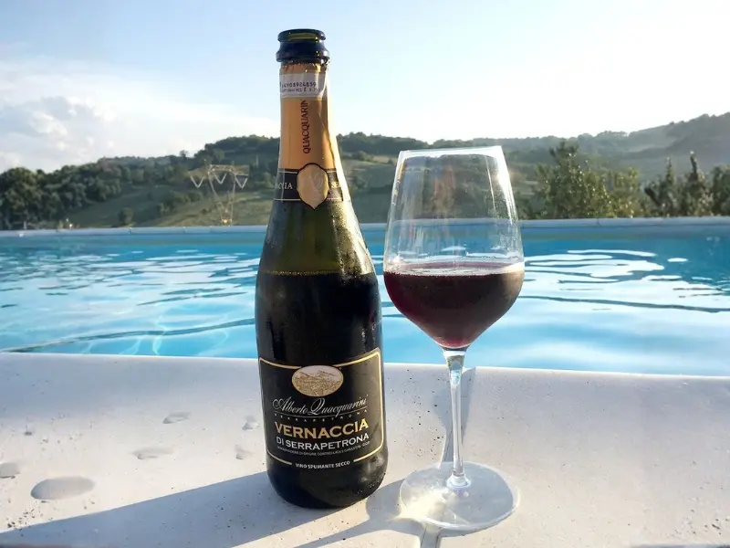 Vernaccia di Serrapetrona DOCG dễ uống, thích hợp cho các buổi tiệc nhẹ