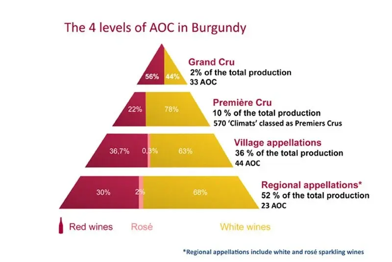 Grand Cru là cấp độ cao nhất của hệ thống AOC