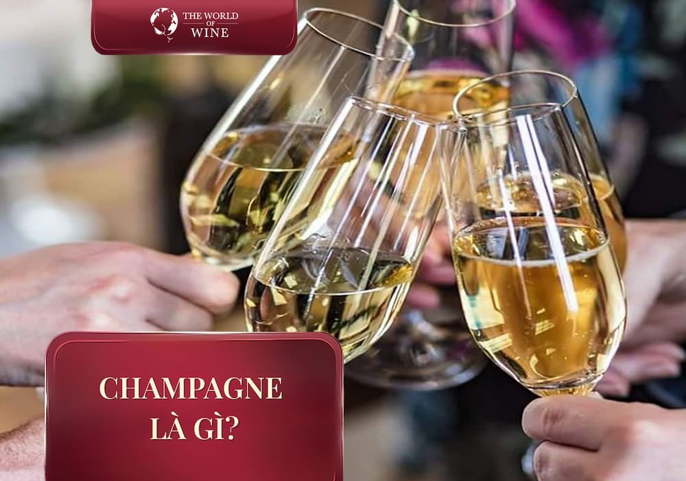 Champagne là gì? Nguồn gốc, đặc điểm và cách phân biệt Champagne