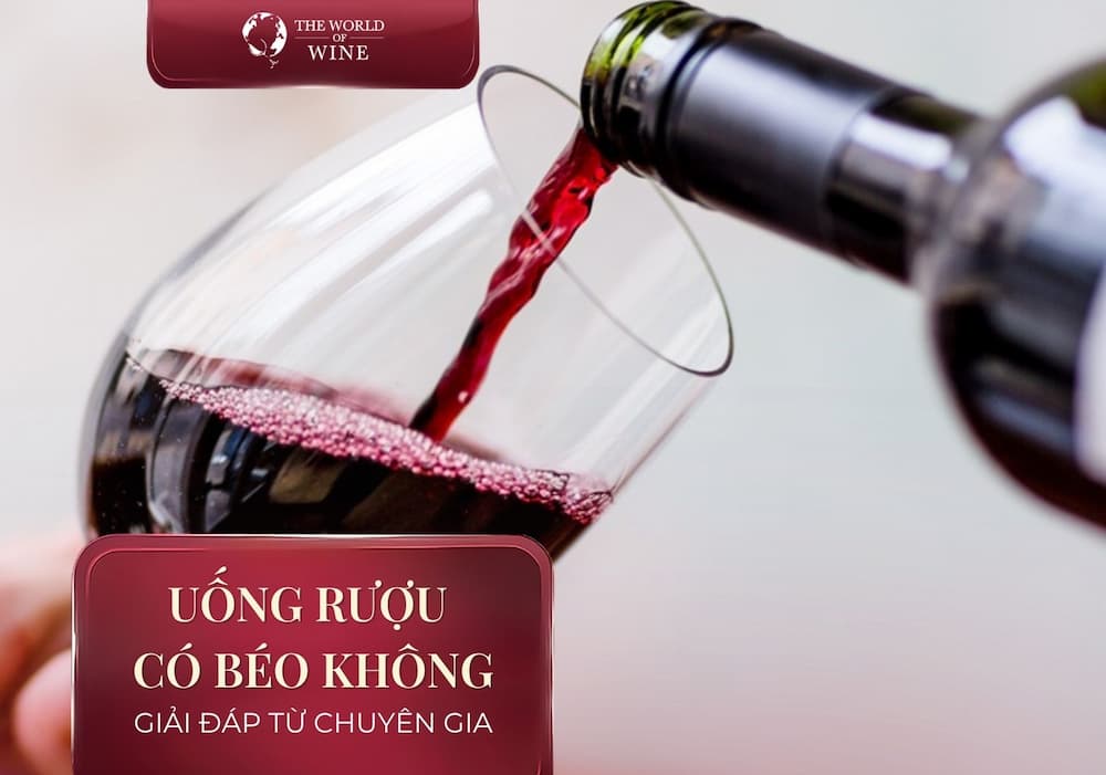 Chuyên gia giải đáp: uống rượu có béo không?