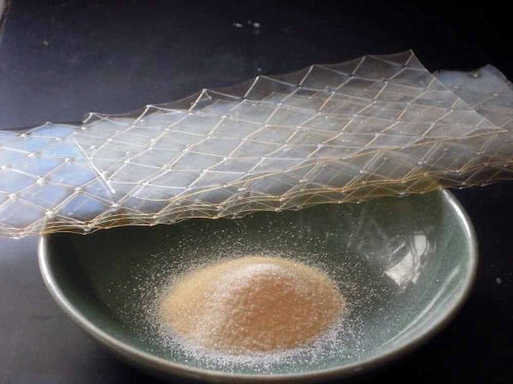 Có 2 loại gelatin mà bạn cần chú ý