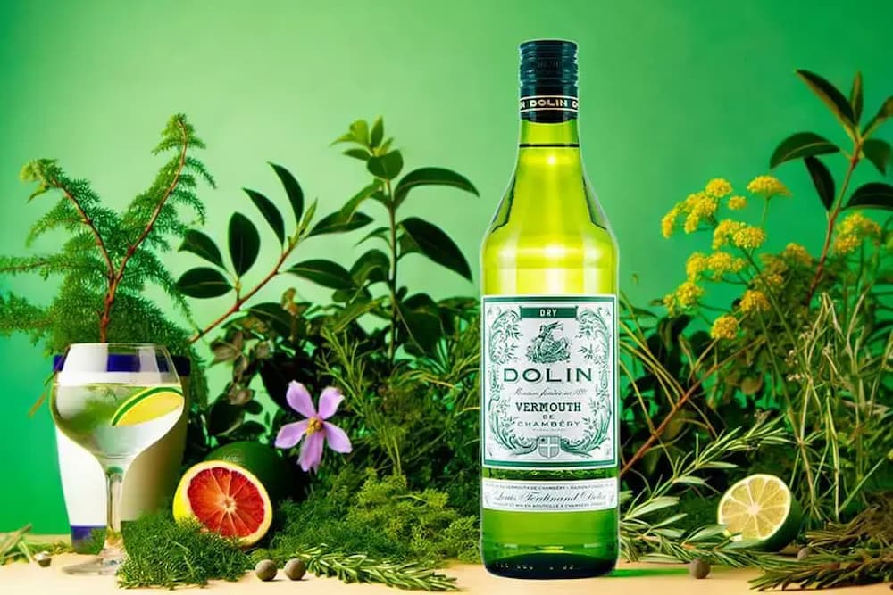 Kho thảo mộc phong phú tạo nên hương vị phức hợp của Vermouth