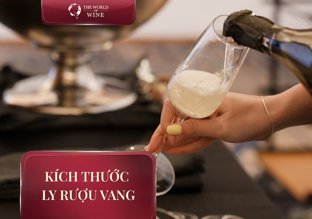 Kích thước ly rượu vang tiêu chuẩn: Nghệ thuật tối ưu hương vị cho người sành rượu