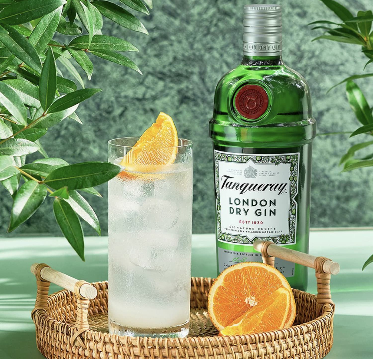 Gin có nồng độ ở mức tối thiểu 37.5%