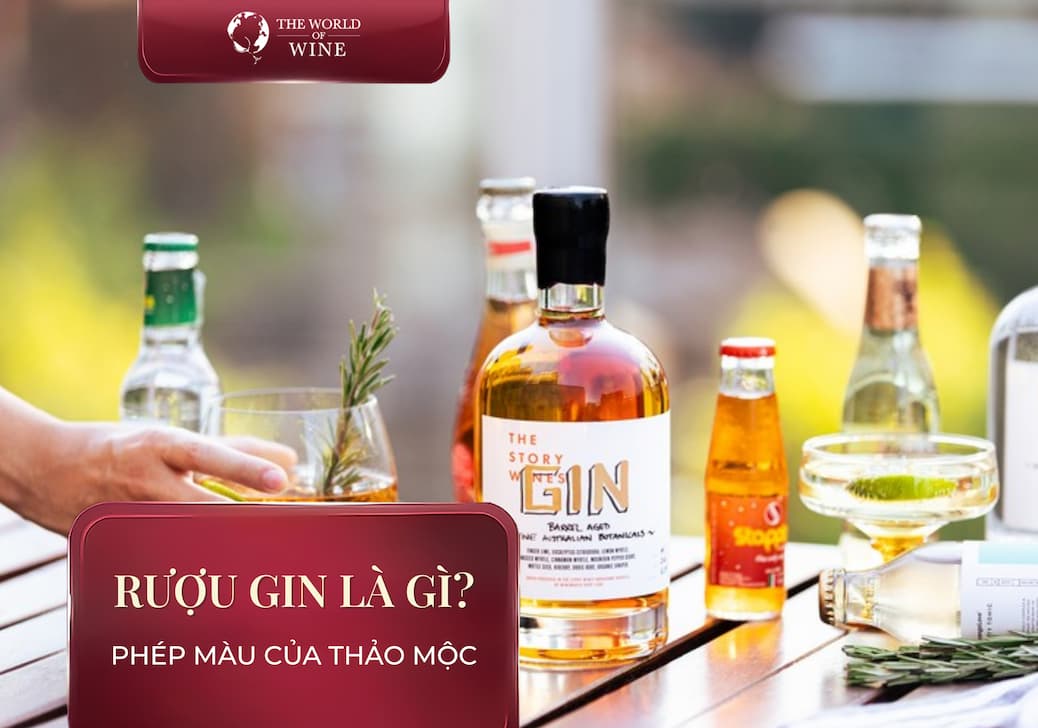 Rượu Gin Là Gì? Khám Phá Nghệ Thuật Thảo Mộc Trong Thế Giới Spirits