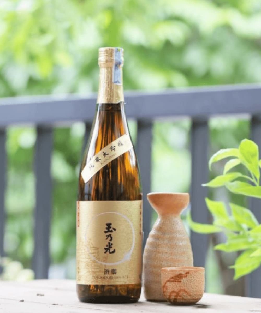 Daiginjo-shu được xem là dòng Sake cao cấp bậc nhất