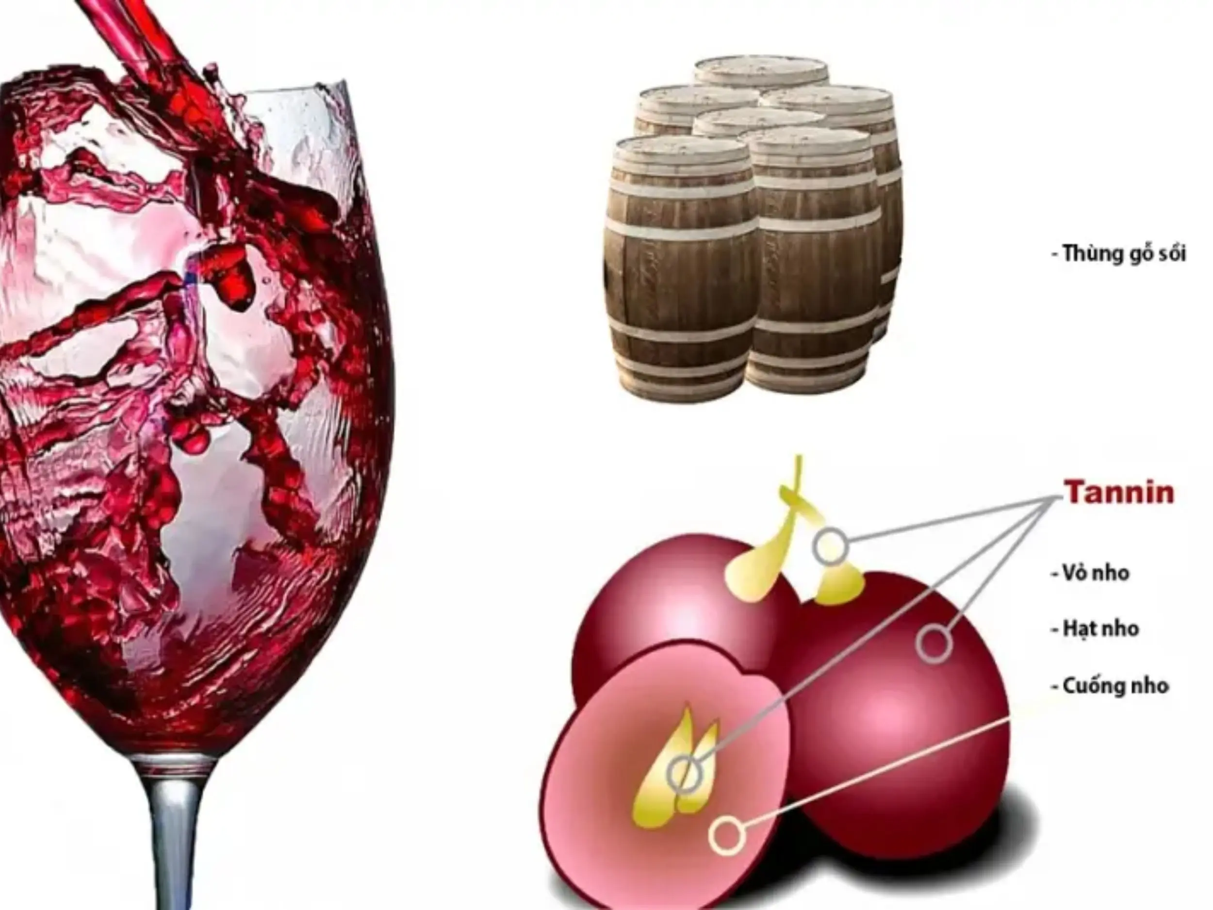 Vị chát trong rượu vang chủ yếu đến từ tannin tự nhiên có trong quả nho