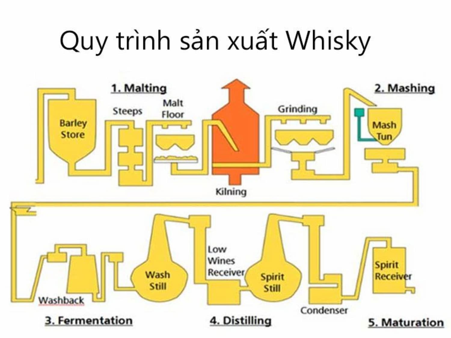 Quy trình sản xuất rượu whisky cơ bản