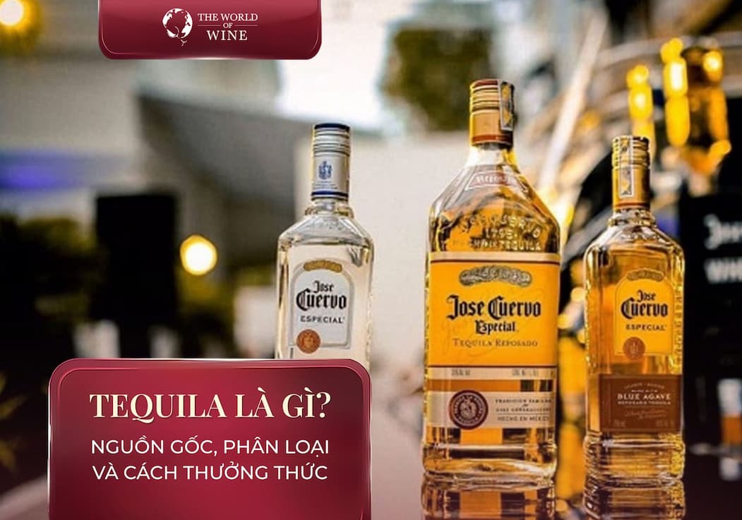Tequila là gì? Nguồn gốc, phân loại và cách thưởng thức đúng chuẩn